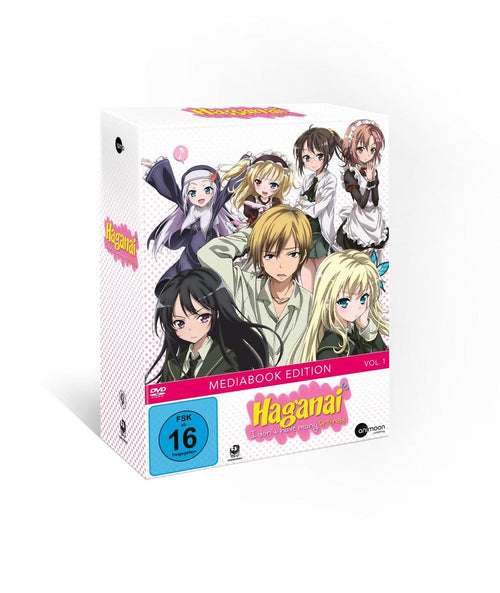 Haganai – Vol. 1 DVD
