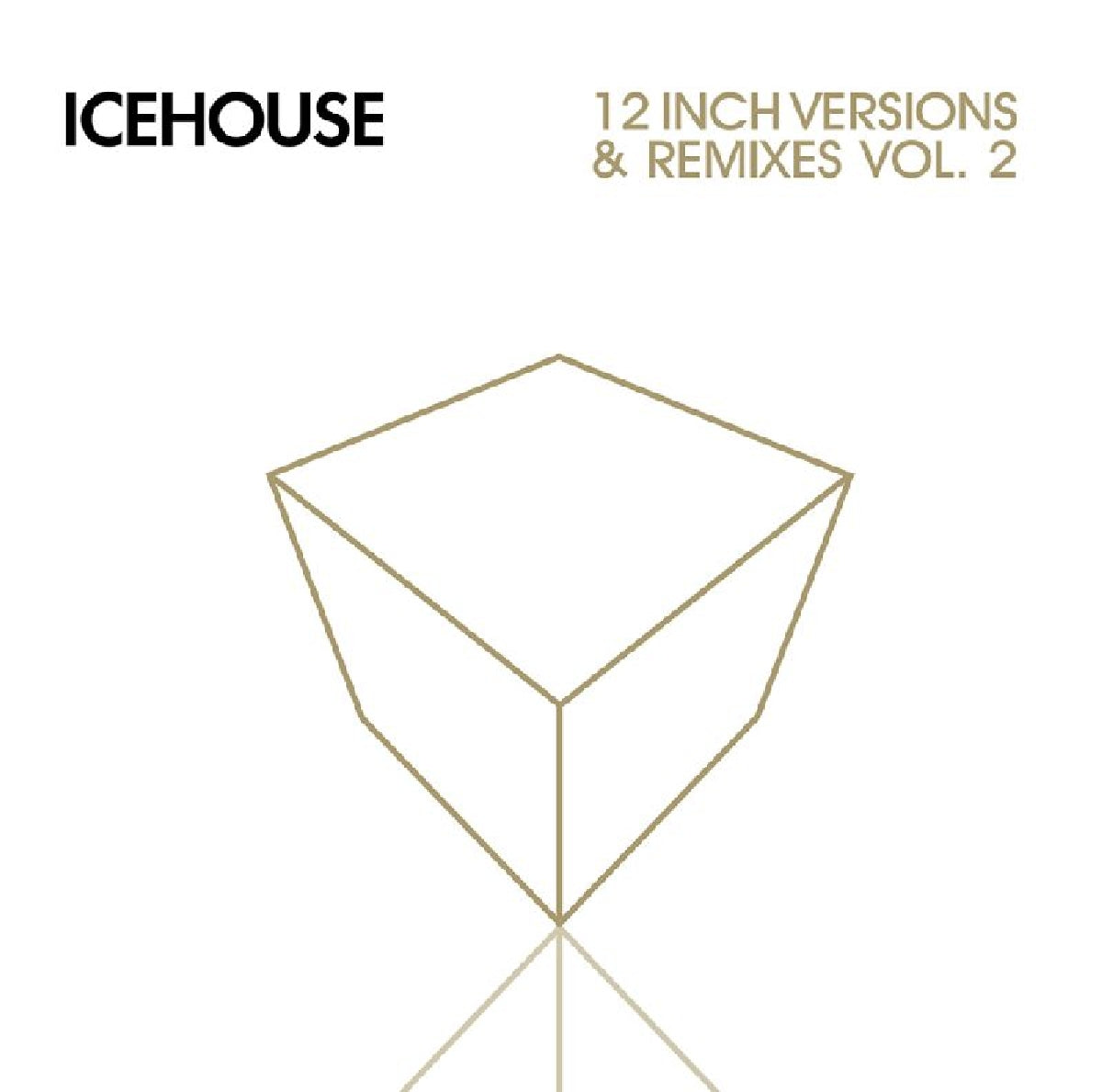 Icehouse - 12 Inch Versions & Remixes-Vol.2 (2CD)